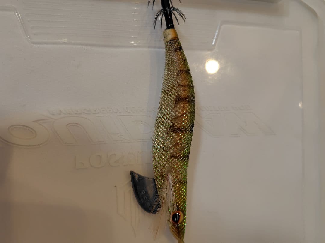 1月 限定価格⚠️‼️値下げ、エバーグリーン　エギ番長　エギング引退セット‼️