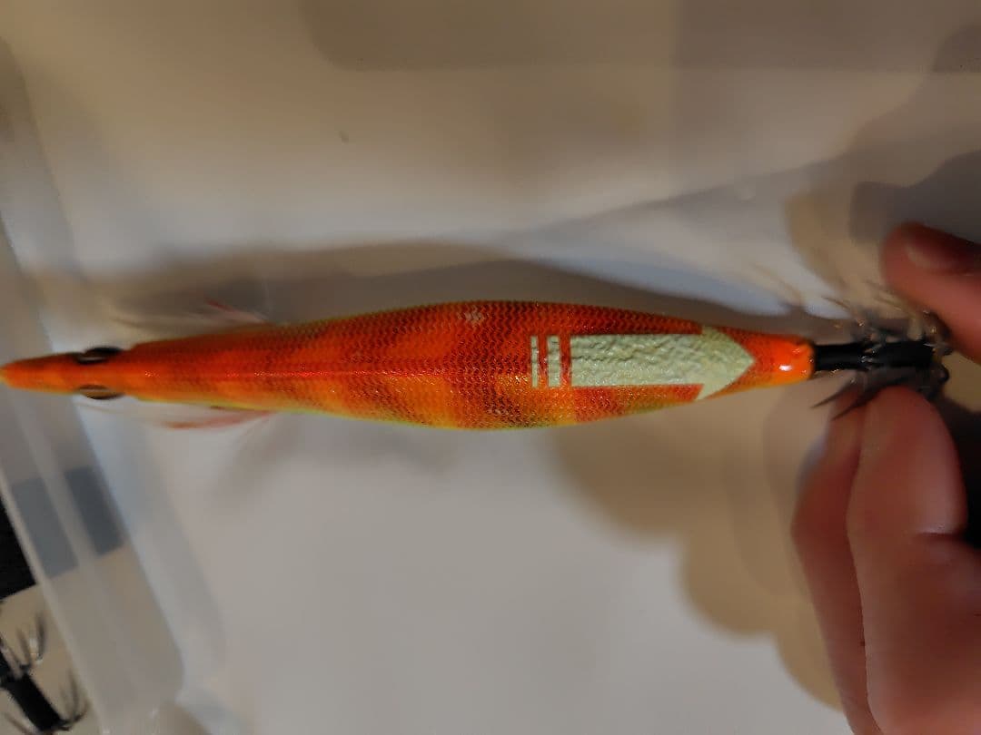 1月 限定価格⚠️‼️値下げ、エバーグリーン　エギ番長　エギング引退セット‼️