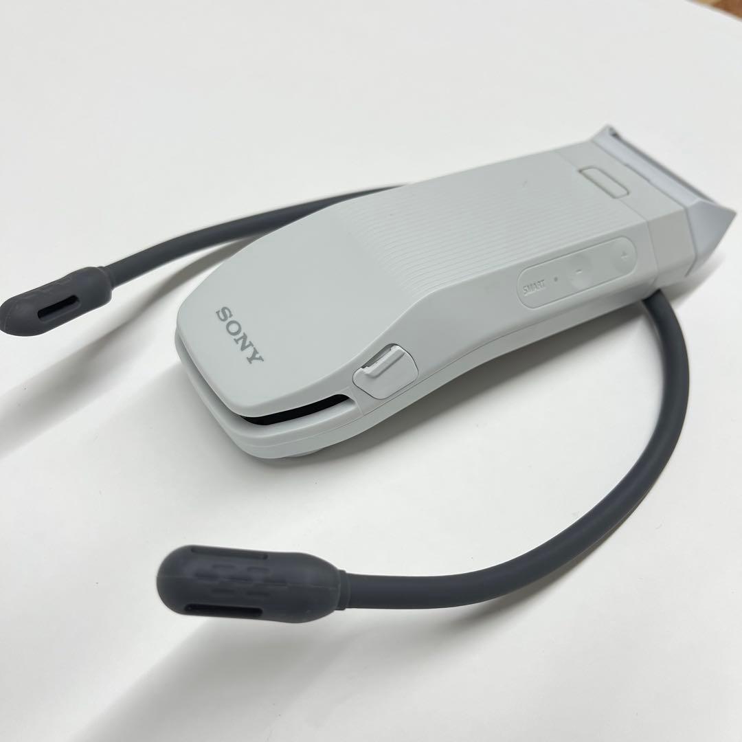 SONY ソニー レオンポケット プロ