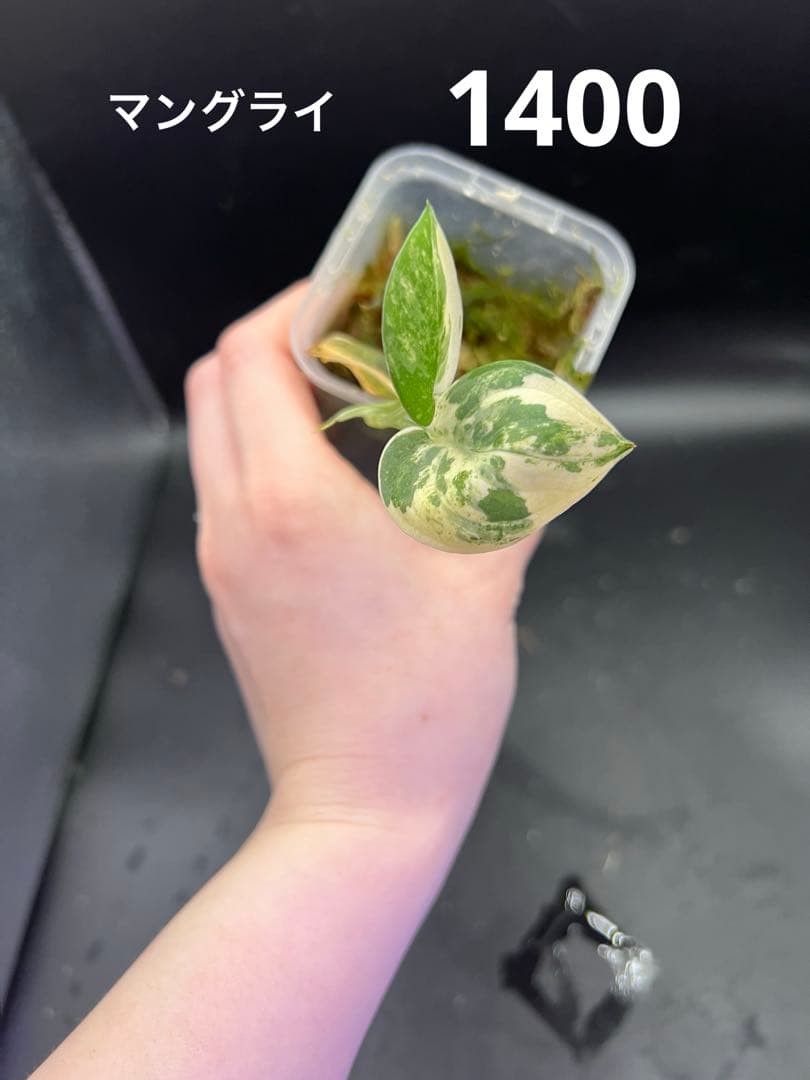 Leno様　おまとめ買い