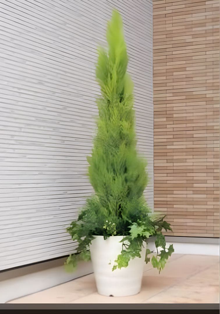 光触媒　人工観葉植物　フェイクグリーン　ゴールドクレスト1.4 室内外兼用