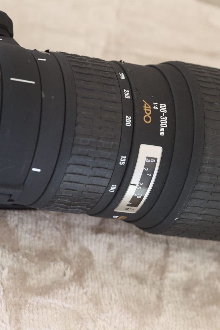 SIGMA 100-300mm F4 レンズ (EFマウント)