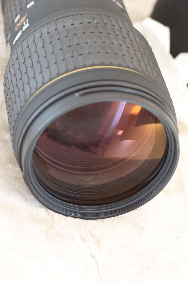 SIGMA 100-300mm F4 レンズ (EFマウント)