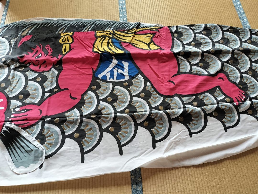 ゴールデン金太郎鯉6m、金太郎鯉5m