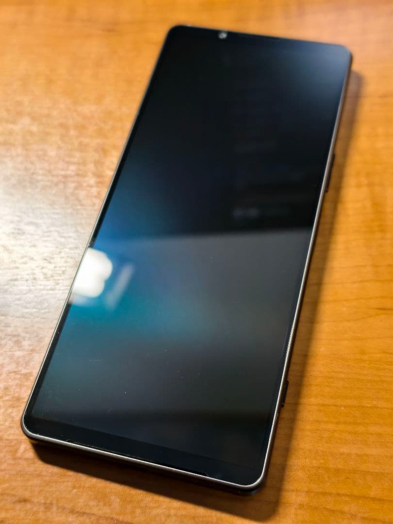 SONY Xperia 1Ⅳ SOG06 [美品]