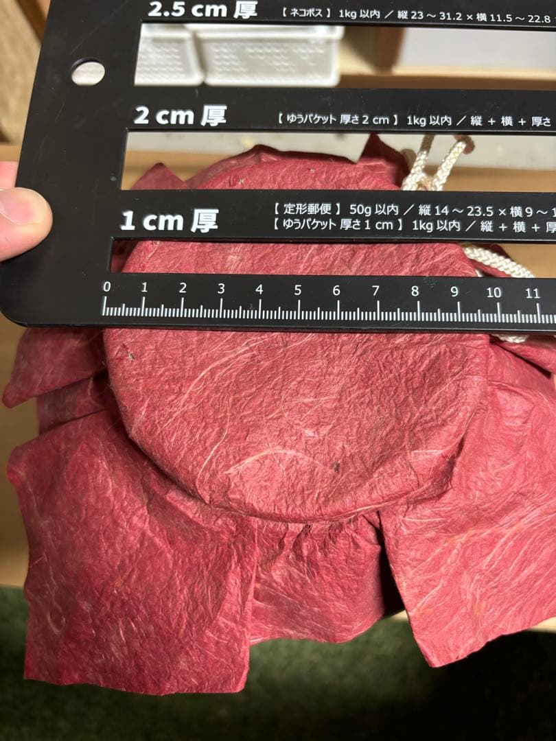 阪神タイガース 2003年優勝記念グッズ　星野仙一監督【中身無し】