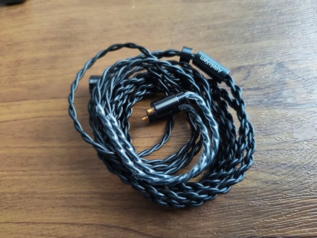 イヤホン Astell&Kern AK ZERO1 Black