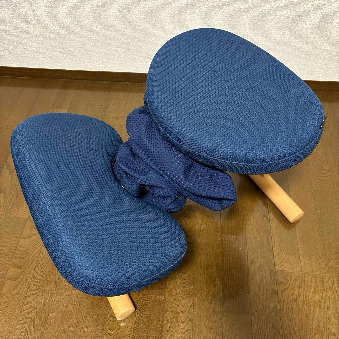 【美品】balans Easy バランスイージー ショートフレーム オプション付