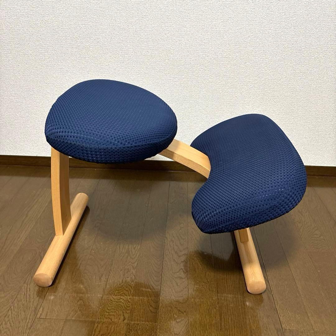 【美品】balans Easy バランスイージー ショートフレーム オプション付