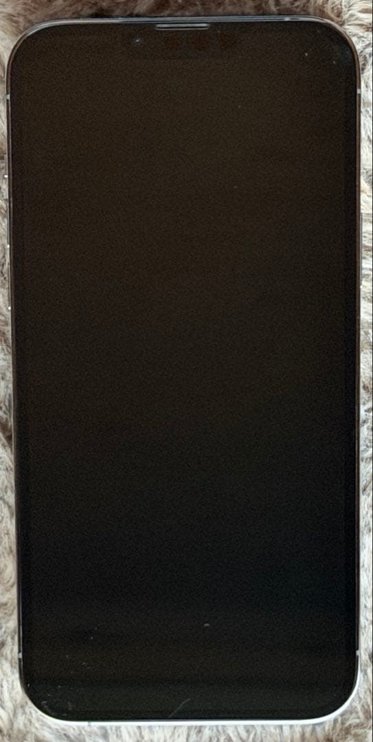 【バッテリー97%】Apple iPhone13ProMax256GB