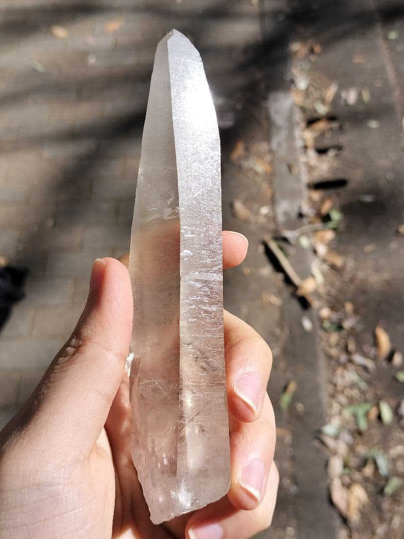 【早いもの勝ち超特価】オールドレムリアン　ピュアレイ