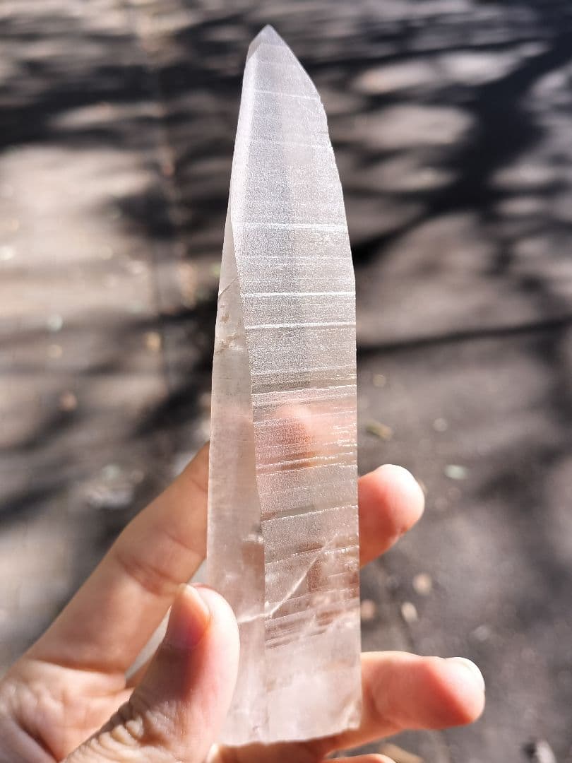 【早いもの勝ち超特価】オールドレムリアン　ピュアレイ