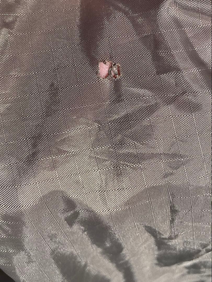 【スノーピーク60周年限定モデル　ドッグドームPro.