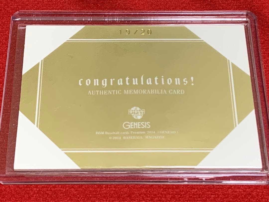 藤浪晋太郎　ジャージナンバー　パッチ　カード　背番号　19