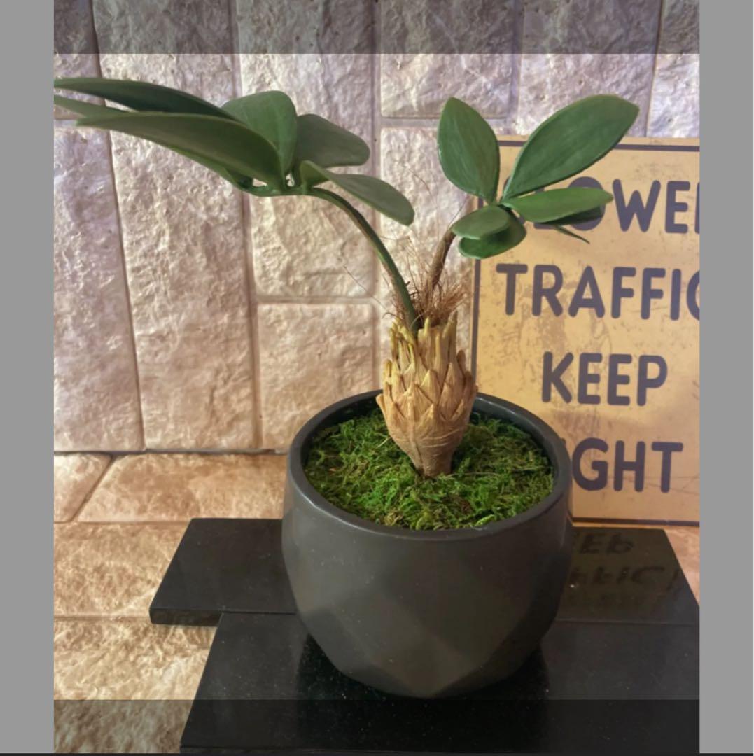 光触媒　人工観葉植物　ウォールグリーン　フェイクグリーン　アレカパームjg