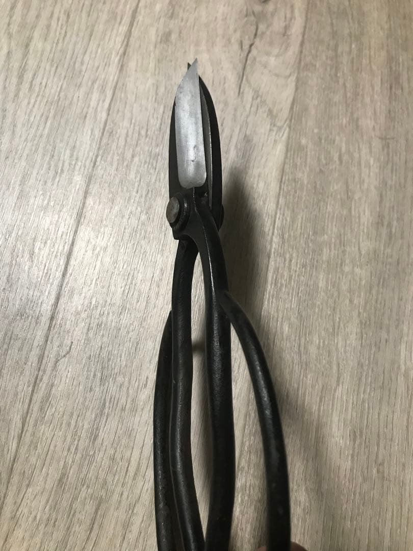 安広　輪鋏　蕨手　京鋏