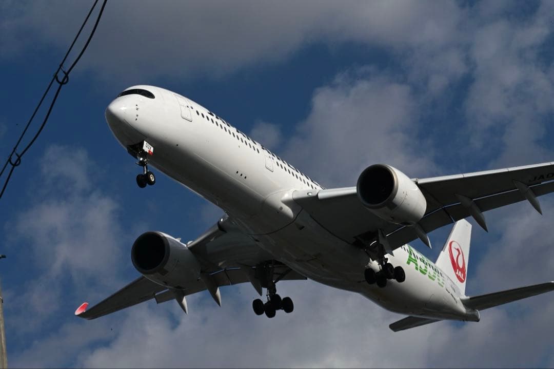 SIGMA 150-600mm F5-6.3 DG OS HSM ニコンF