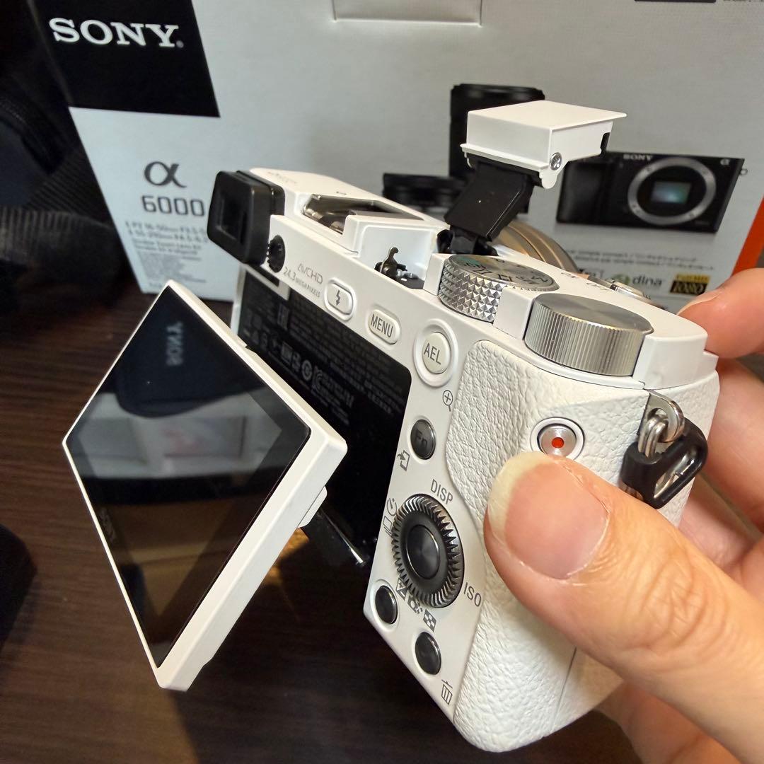 SONY α6000 ミラーレス一眼