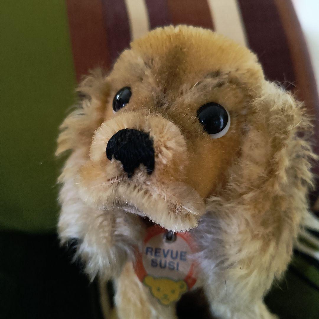 ドイツヴィンテージ オールドシュタイフ コッカースパニエル REVUE SUSI