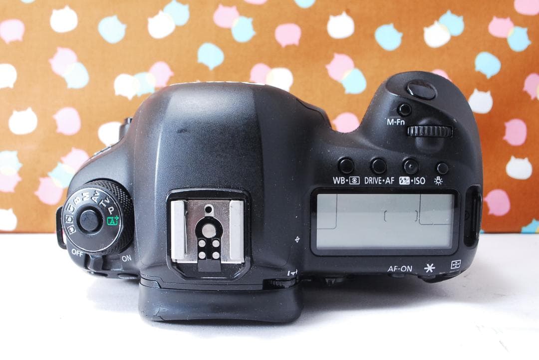 ✨超高性能✨ハイスペック機✨Canon 5D Mark Ⅳ