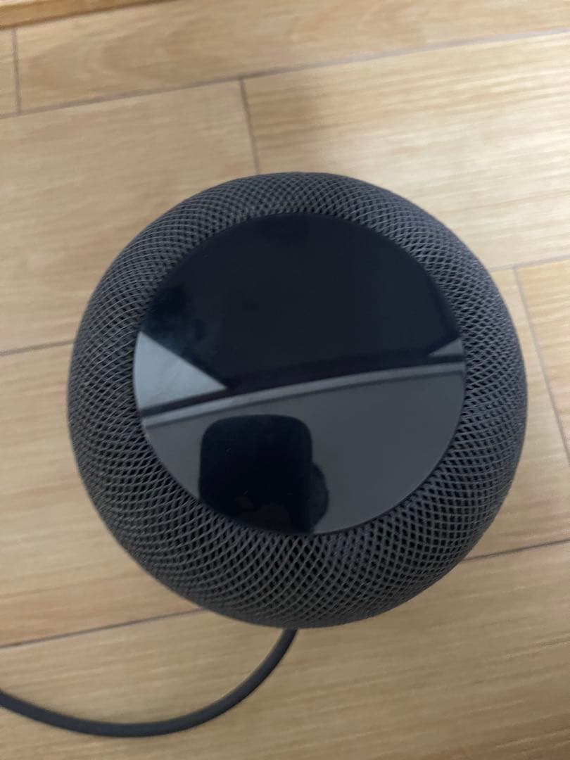 Apple Pod（第一世代） ジャンク