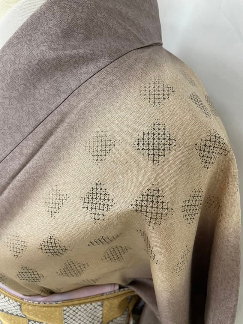 お見分け済　　佐野一生　染大島紬創作訪問着と袋帯セット