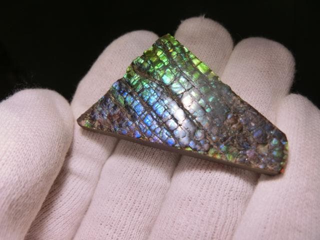 【希少】アンモライト ナチュラル ルース 幸運