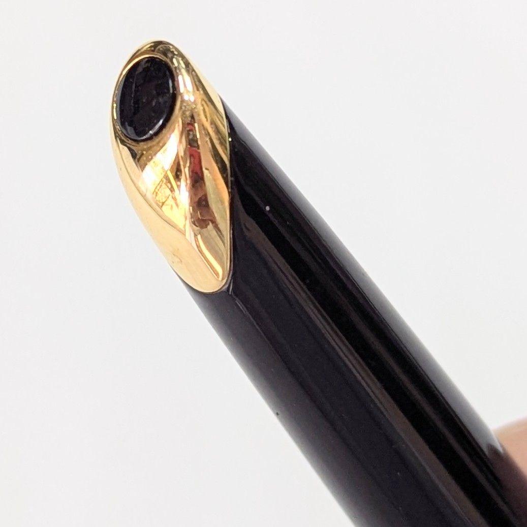 Waterman ウォーターマン カレン EF 万年筆