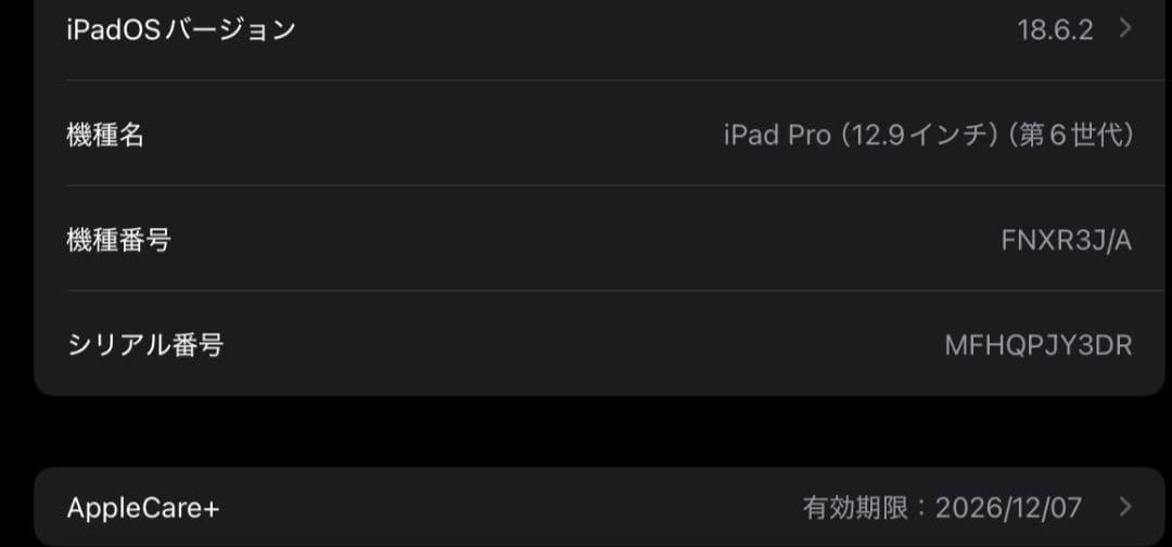 iPad Pro 12.9インチ 第6世代 256GB Wi-Fi【保証付き】