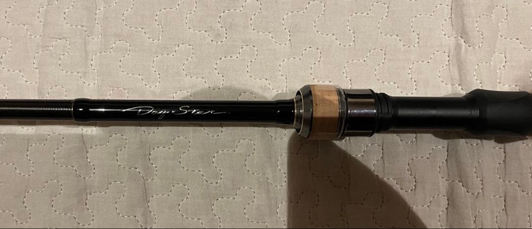 コアマン デイスター　CDS84LL-TT TITANIUM SENSOR