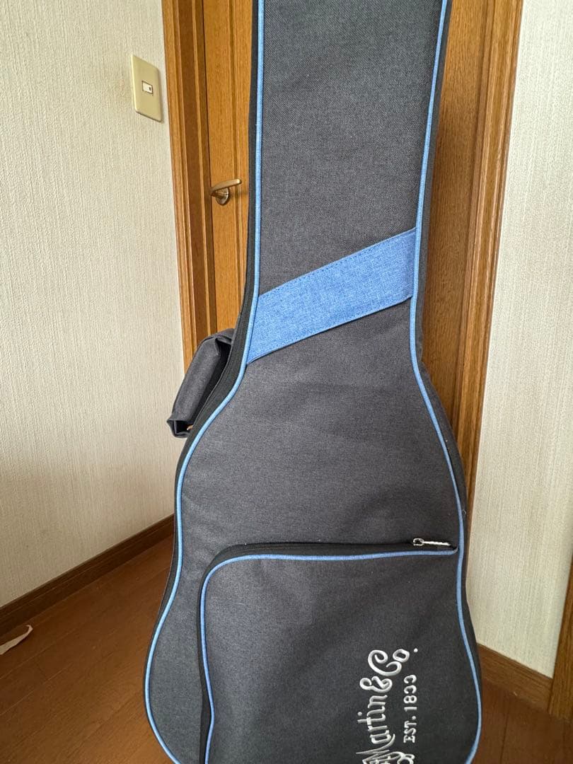 Martin&Co.Road Series/D-10E-02 アコギ 備品付き