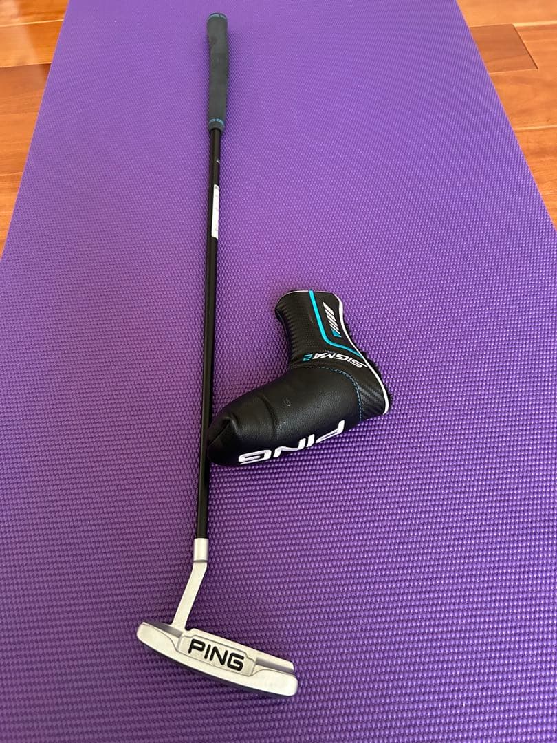 PINGアンサーSIGMA2、34インチ