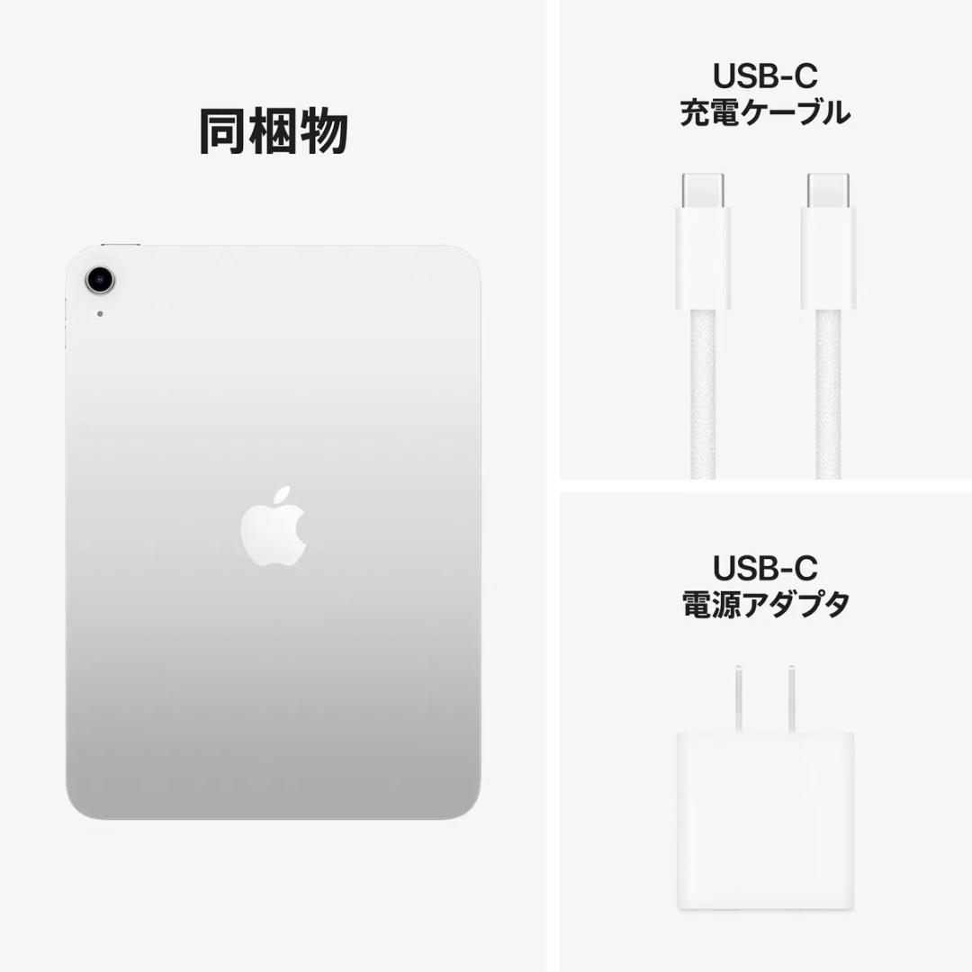 Apple iPad A16 Wi-Fiモデル 128GB - シルバー