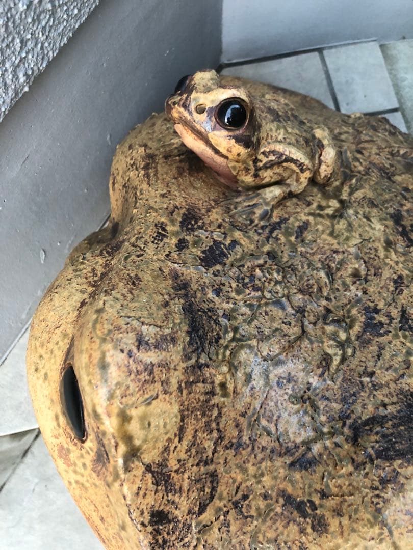 カエルの置き物　かえるの親子　　　　　大きな蛙　縁起物　オブジェ　特大