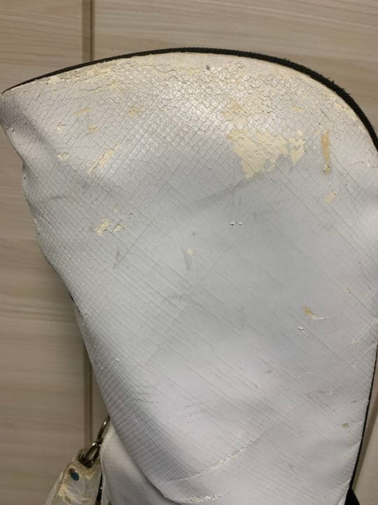 テーラーメイド  キャディバック