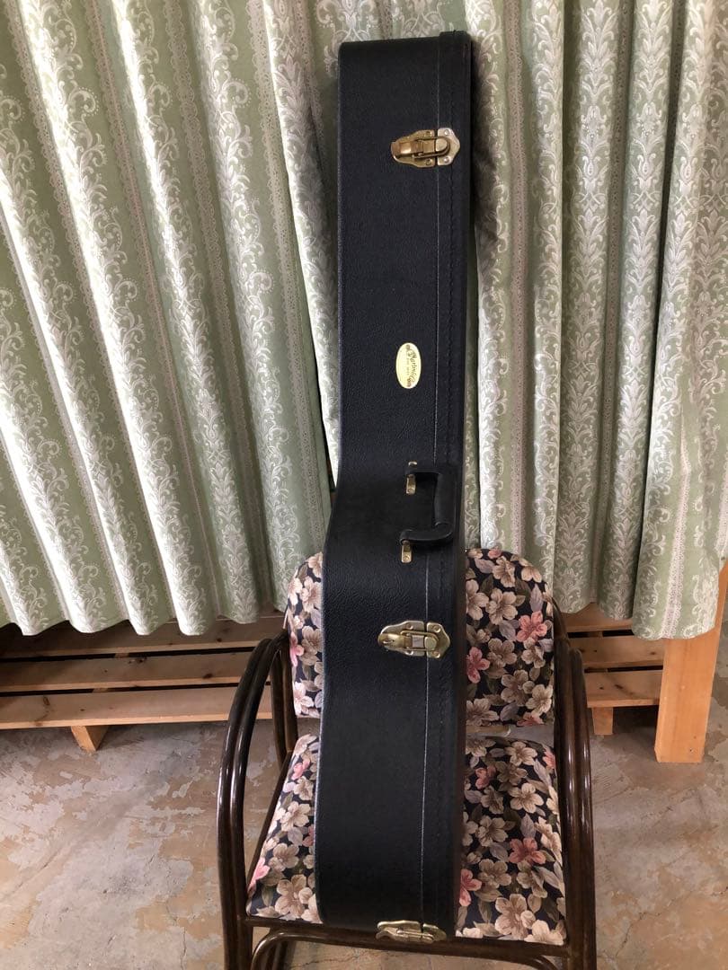 再再値引Martin&Co.アコースティックギター DRS2 ハードケース付美品