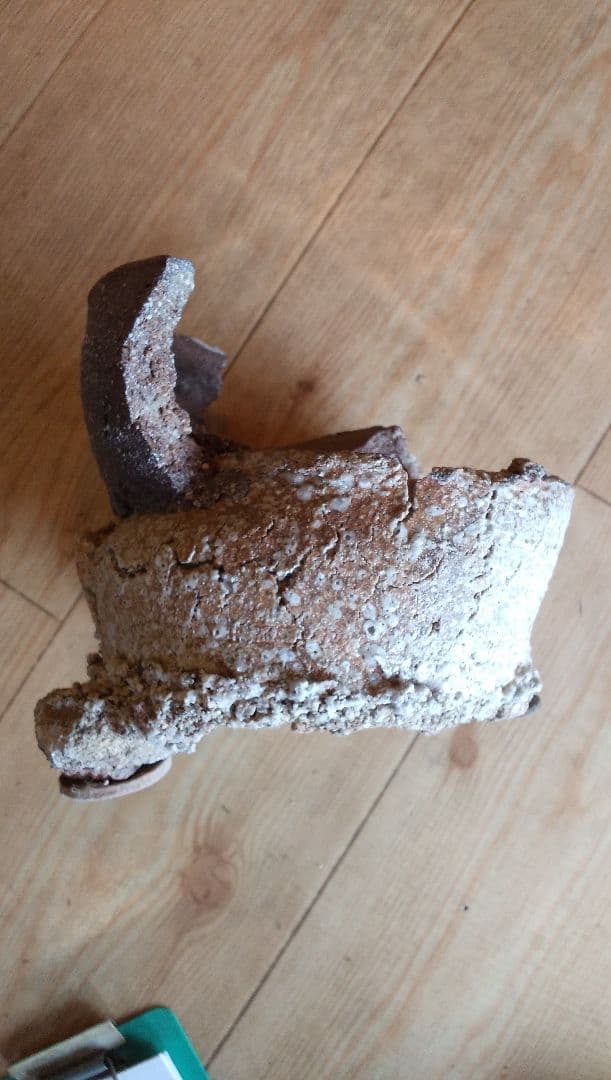 さや.信楽焼．不作為の芸術