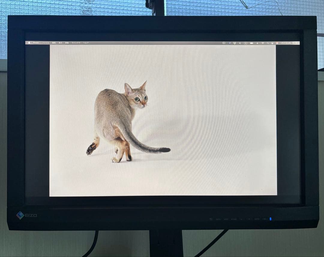 EIZO ColorEdge CX240 24インチ　PCモニター