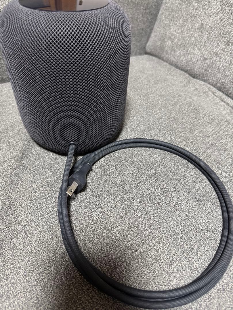 【ジャンク品】Apple Pod（第1世代） スペースグレー