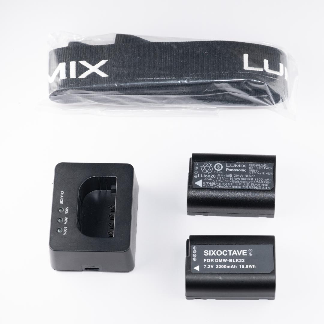 LUMIX GH6 Neewerケージ・サイドグリップ付　2/4までセール価格