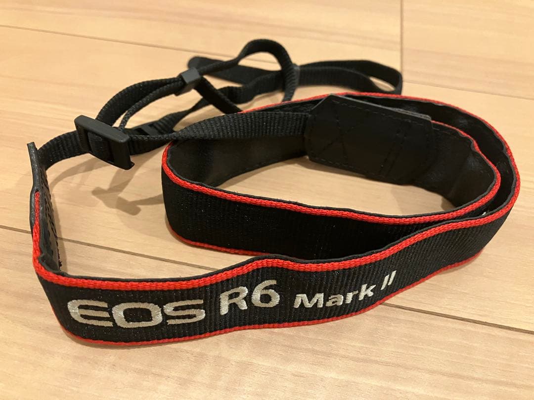 Canon EOS R6 Mark II + RF 24-105 レンズキット