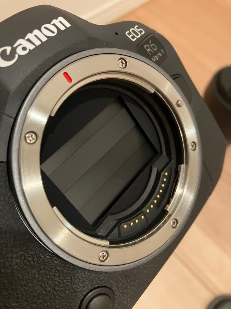 Canon EOS R6 Mark II + RF 24-105 レンズキット