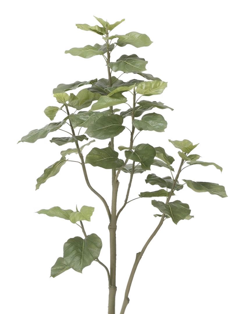 光触媒　人工観葉植物　フェイクグリーン　ウンベラータツリー1.8ｍ