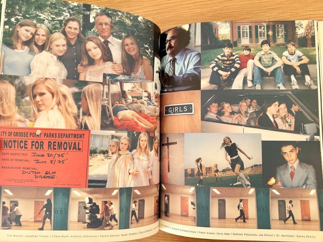 アート・デザイン・音楽 The Virgin Suicides PREMIRE ISSUE