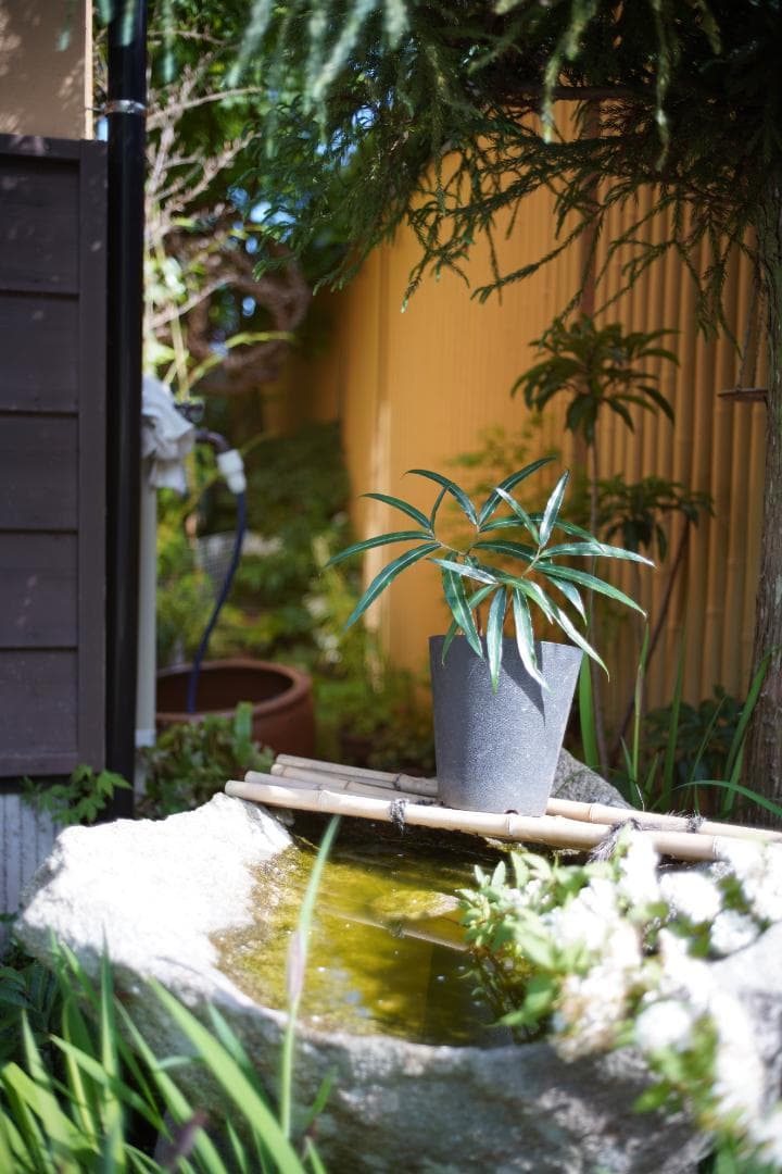 Light lens lab 35mm f2 限定品 Safari 周8枚