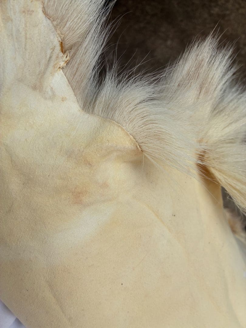 トナカイ　毛皮　敷物　ラグ　北欧　インテリア　ブッシュクラフト　キャンプ