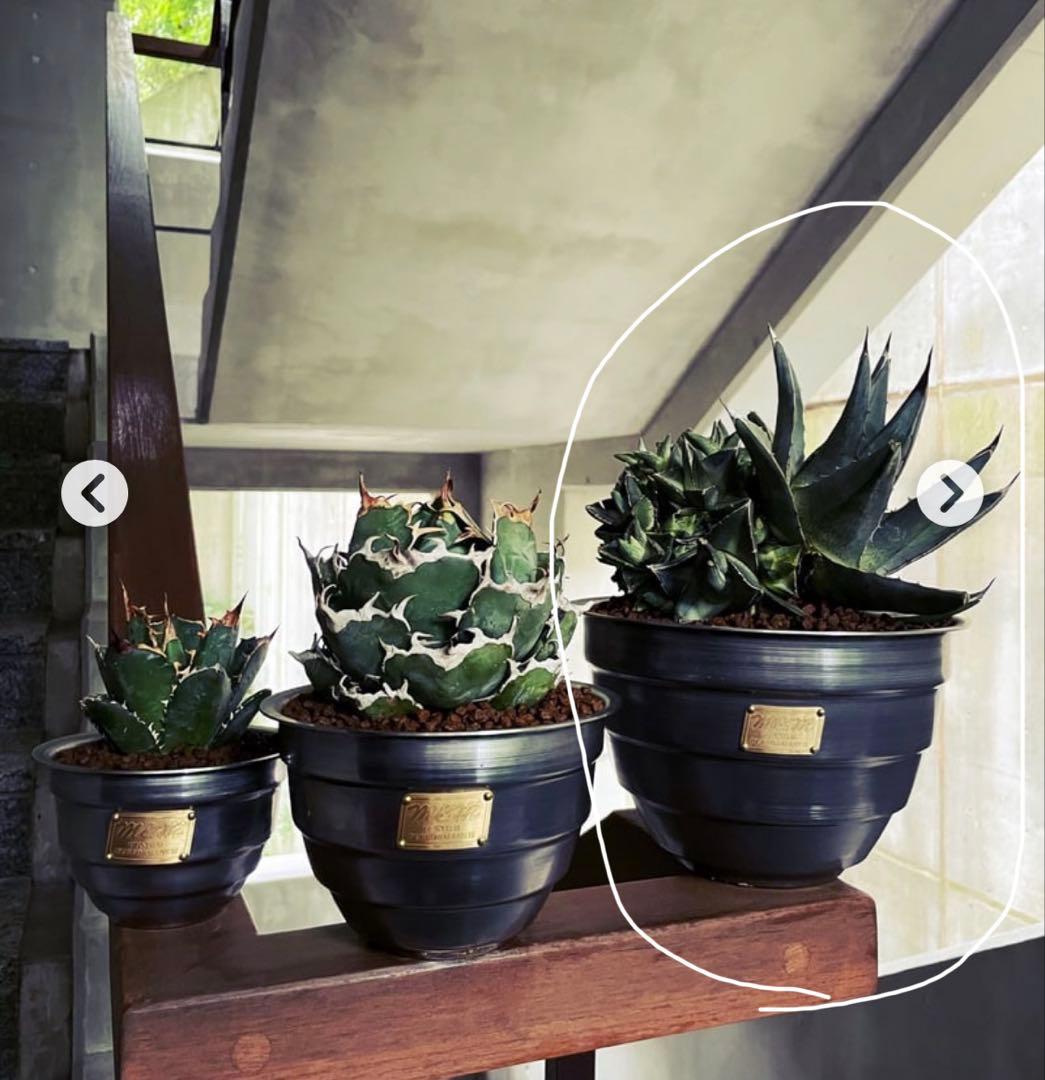 MASSES M&M TYPE4【Termit】スチール製 Ｌサイズ 証明付き