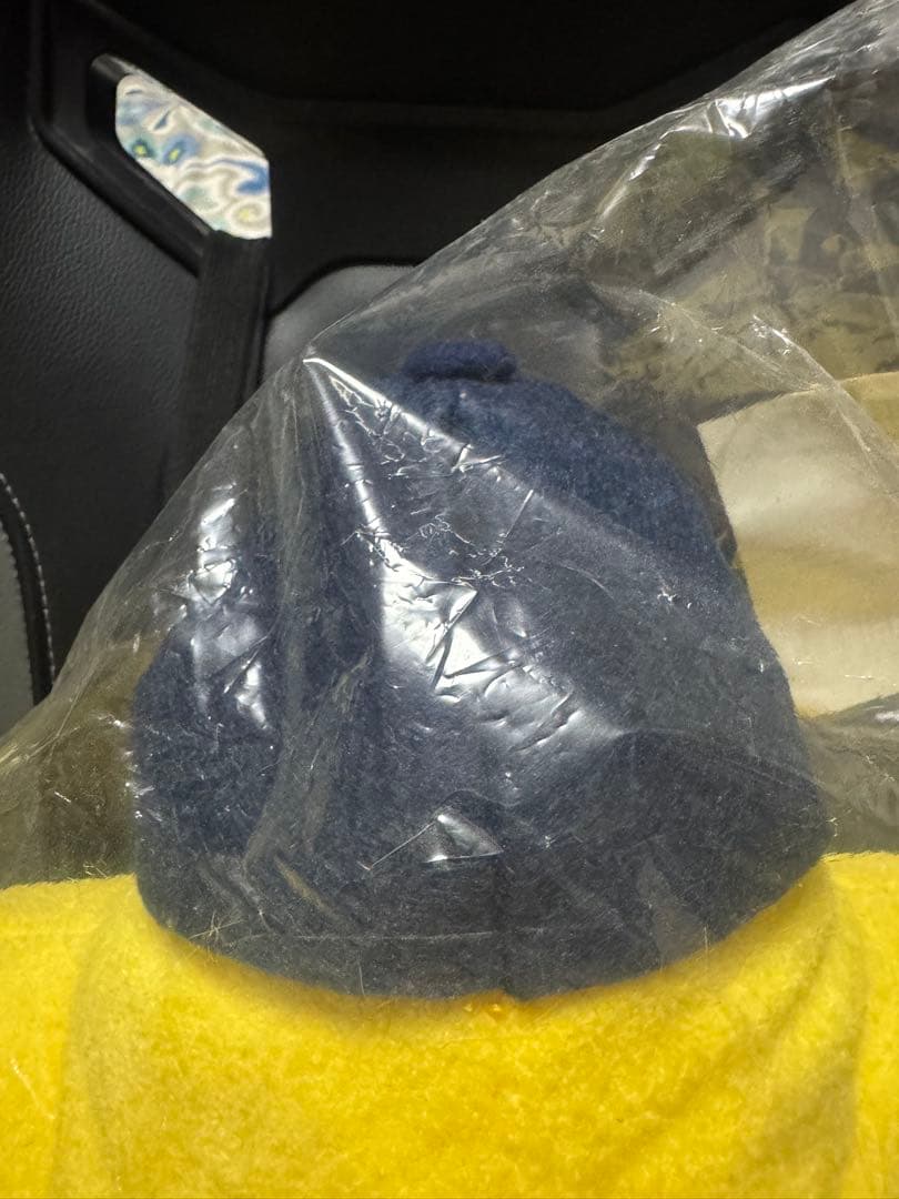 横浜ベイスターズ(横浜DeNAベイスターズ) ホッシー　ぬいぐるみ 特大サイズ