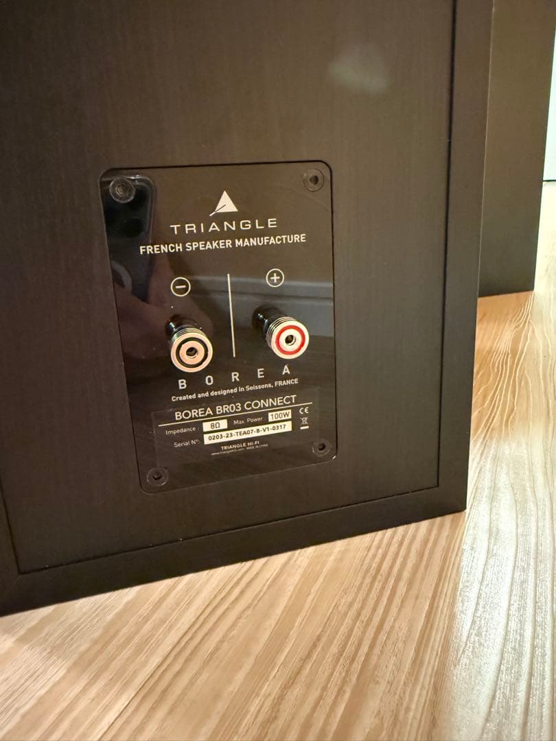 極美品　TRIANGLE Borea BR03 Connect スピーカー　黒