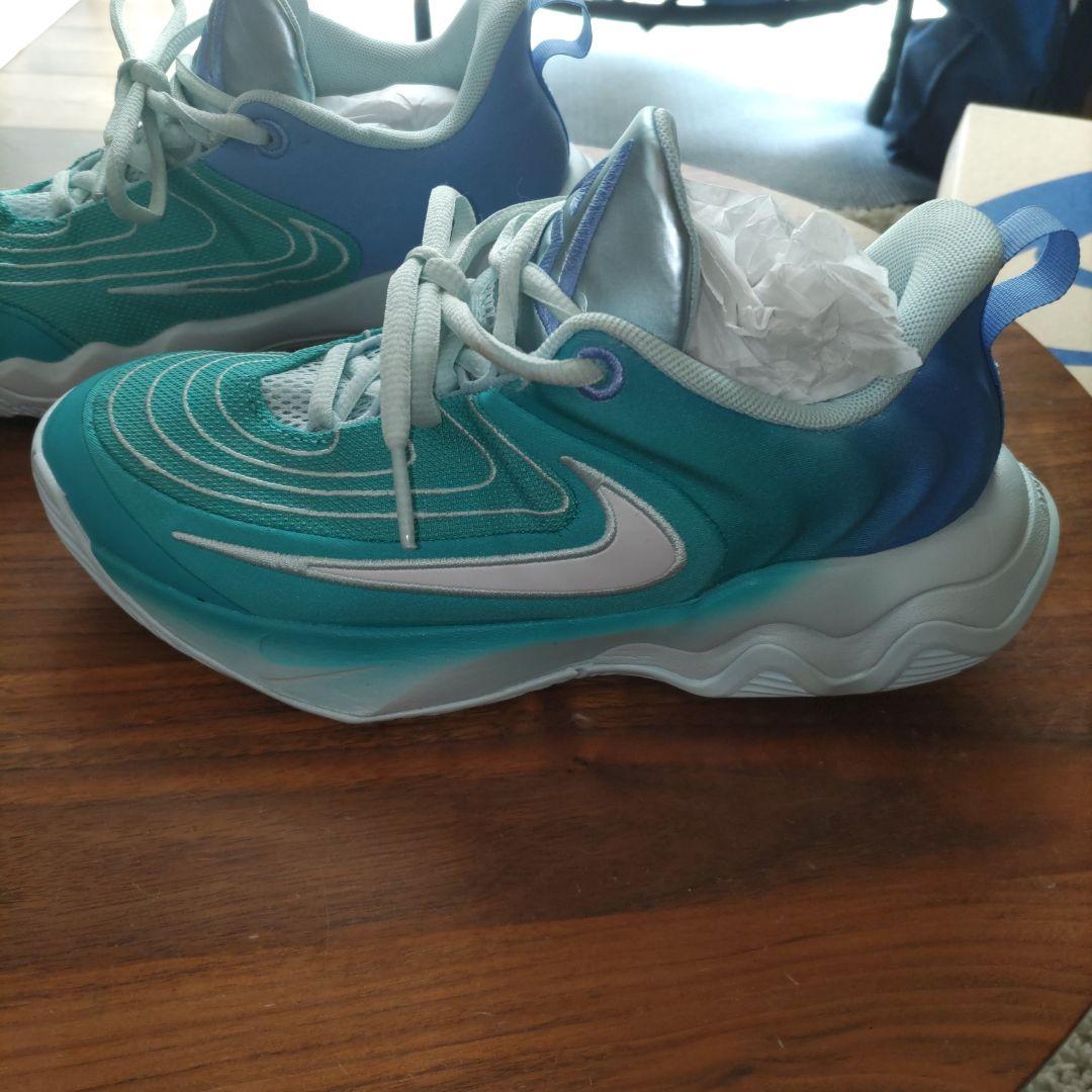 Nike バスケットボールシューズ ティール/ブルー　ヤニスイモータリティ4
